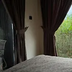 Shalash 2 * Velyki Lazy